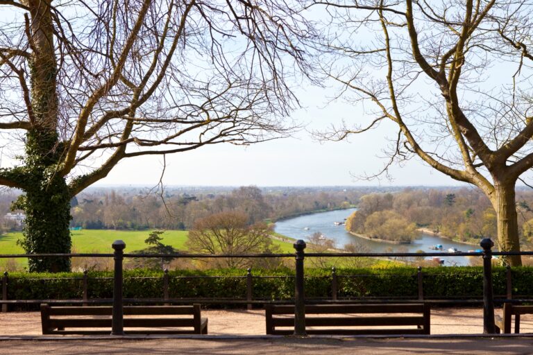 The view from a park in Richmond Upon Thames in the concept of moving to Richmond.